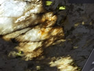 ORIGINAL STONES